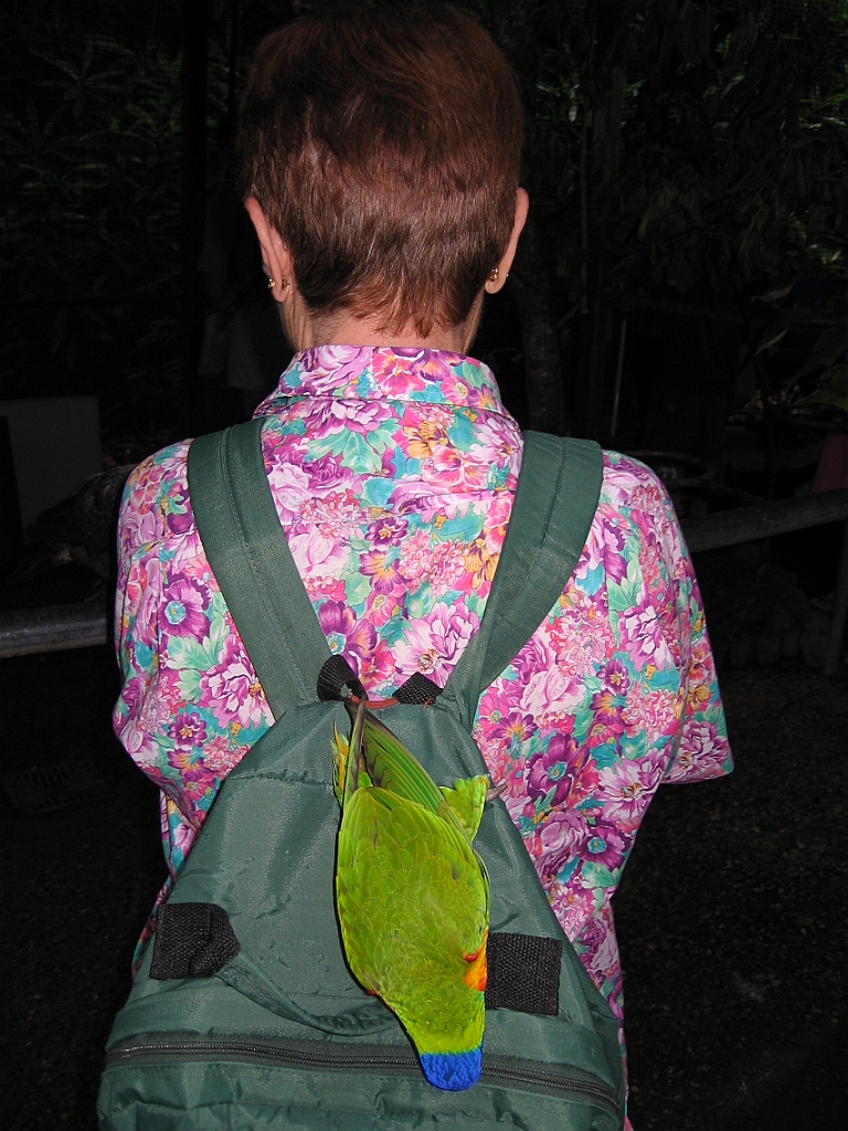 067 Cairns Tropical Zoo.jpg